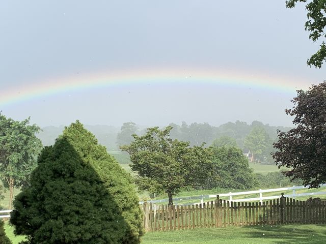 Rainbow 
