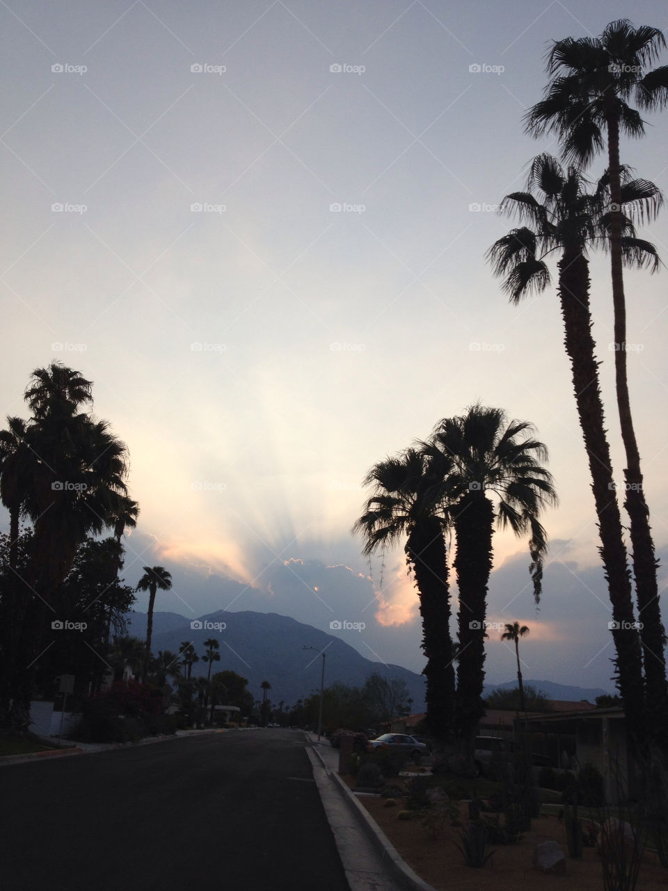 sky sunset palm trees by davidi92260