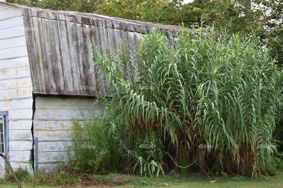 Old building with cane beside it.