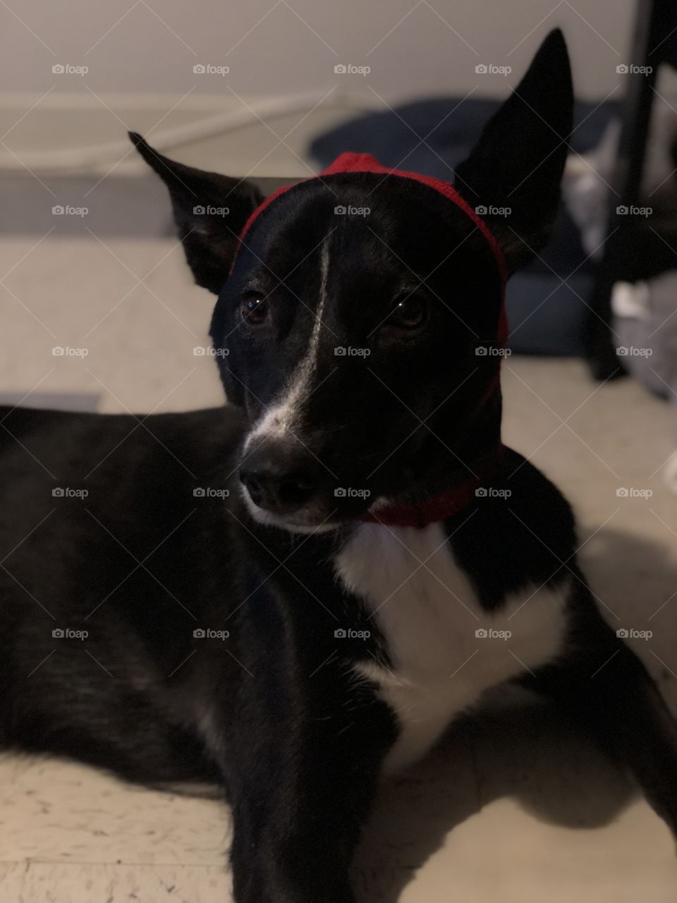 “Please take this hat off of me”