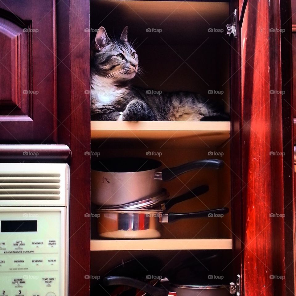 In the  Cabinet 