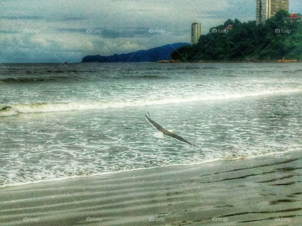 Peaceful Place. Itataré Beach,  Sao Vicente,  Brazil.