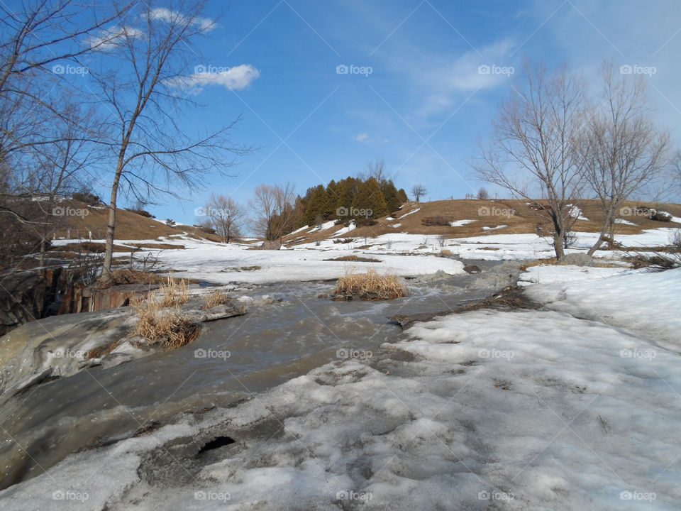 Melting in the field. Nice spring day in the fields