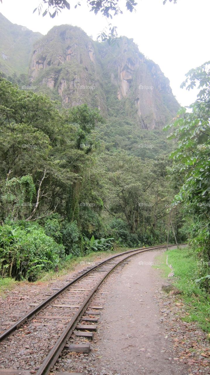 Train track jungle