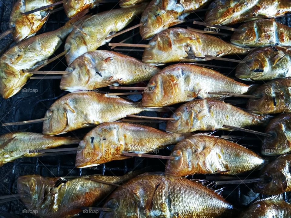 burned fish
