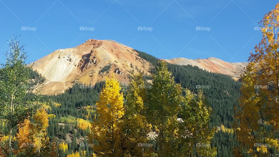 Wood, Fall, No Person, Outdoors, Mountain