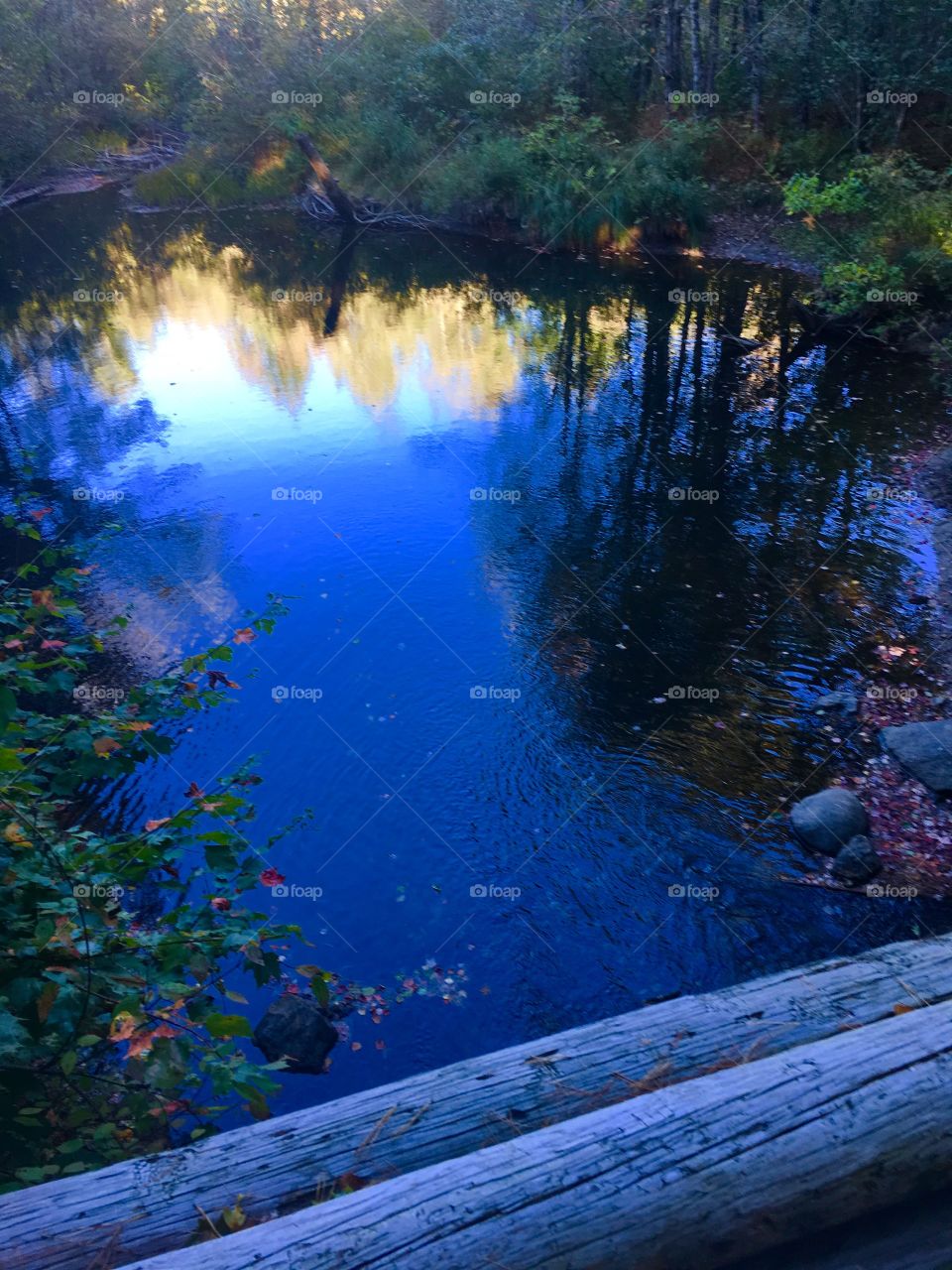Reflection from the bridge