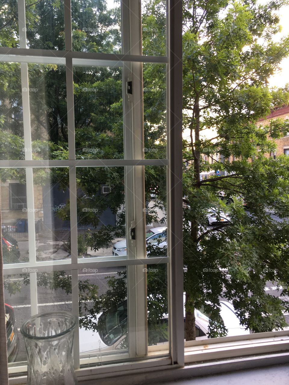 Outside a Brooklyn window 