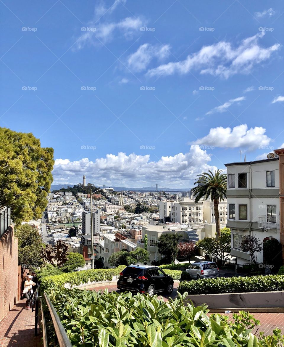 Lambert Drive overlooking the Golden Gate Bridge, San Francisco