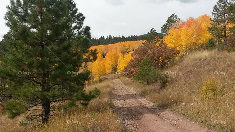 Country Road. Taken at the Spanish Peaks area of Colorado 