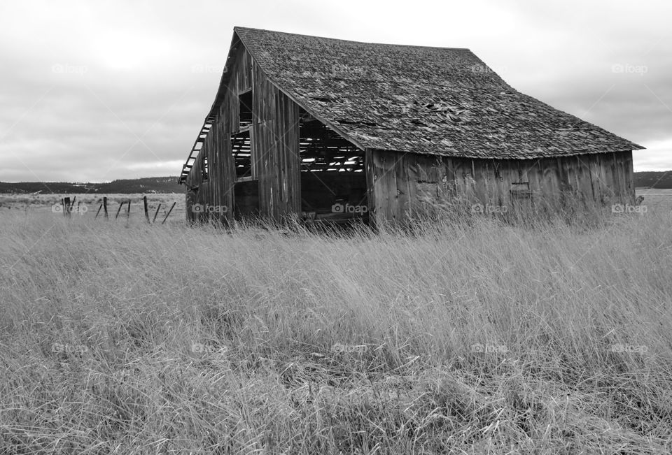 An old wooden barn in rural Eastern Oregon slowly falling apart. 