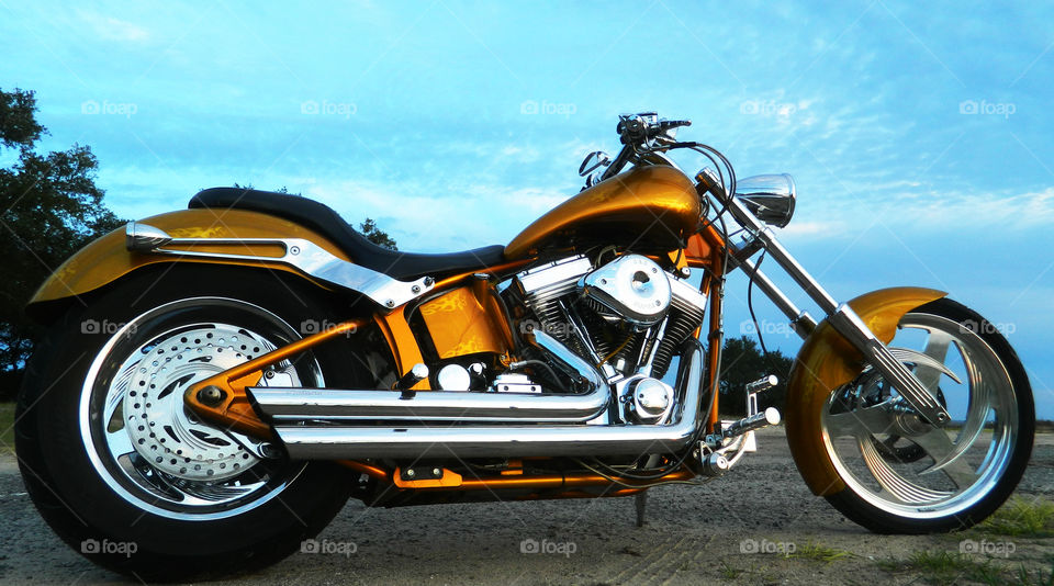 Golden Beauty - Ghost Rider