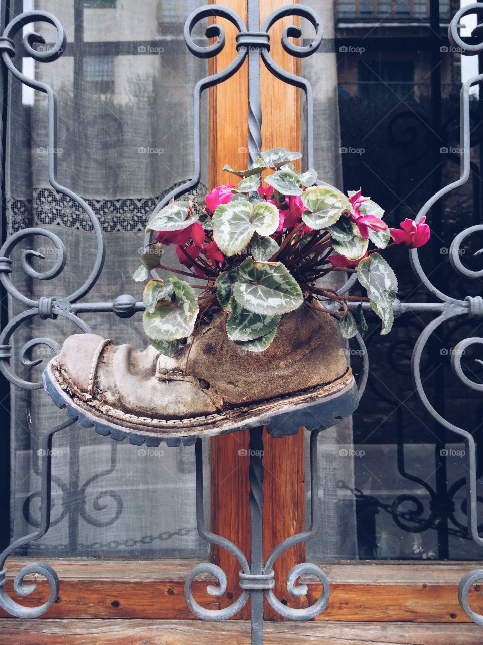 Boot used as a flower pot on an Italian window. 