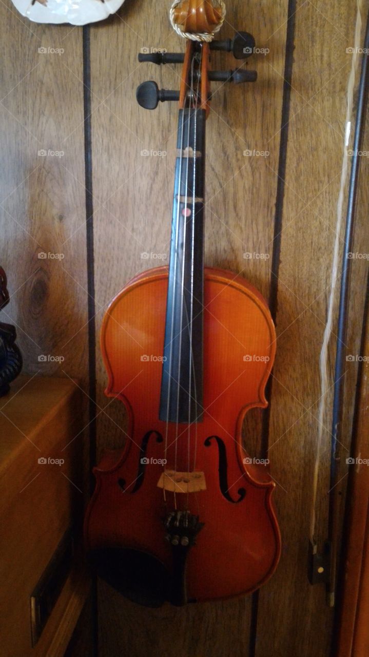 Violin, Wood, No Person, Instrument, Classic