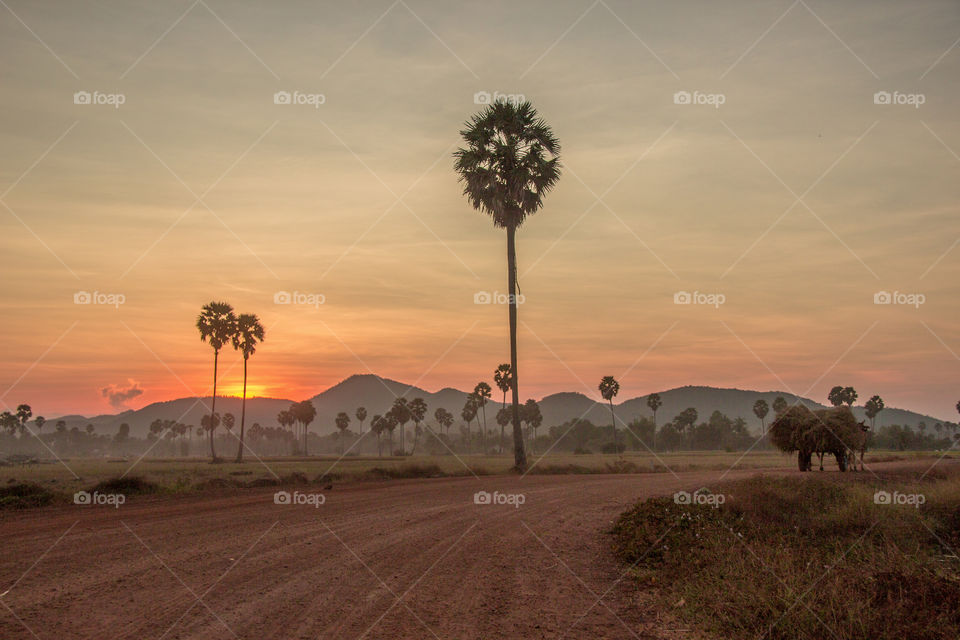 Scenic view of dirt road during sunset