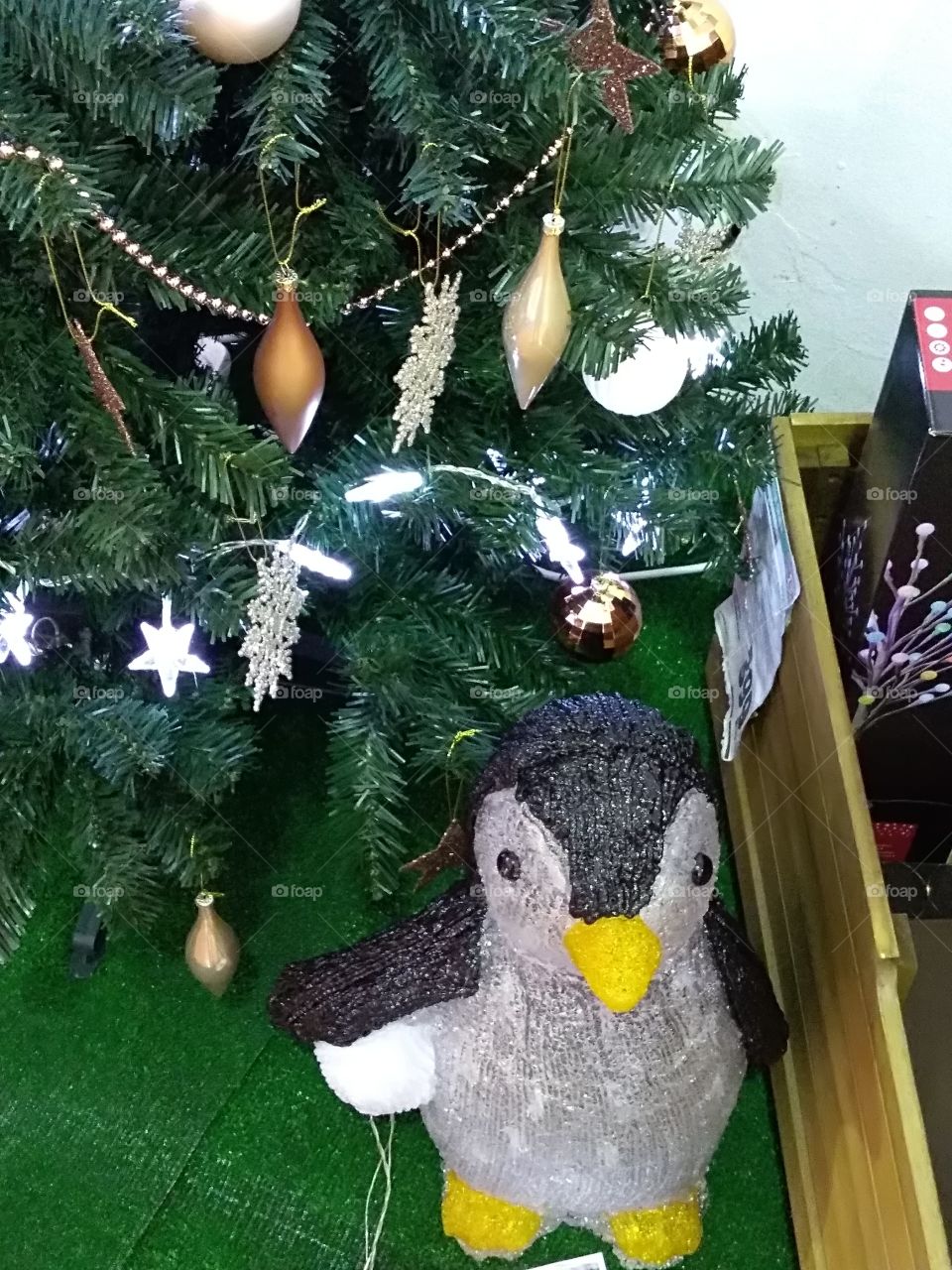 decoration for Christmas