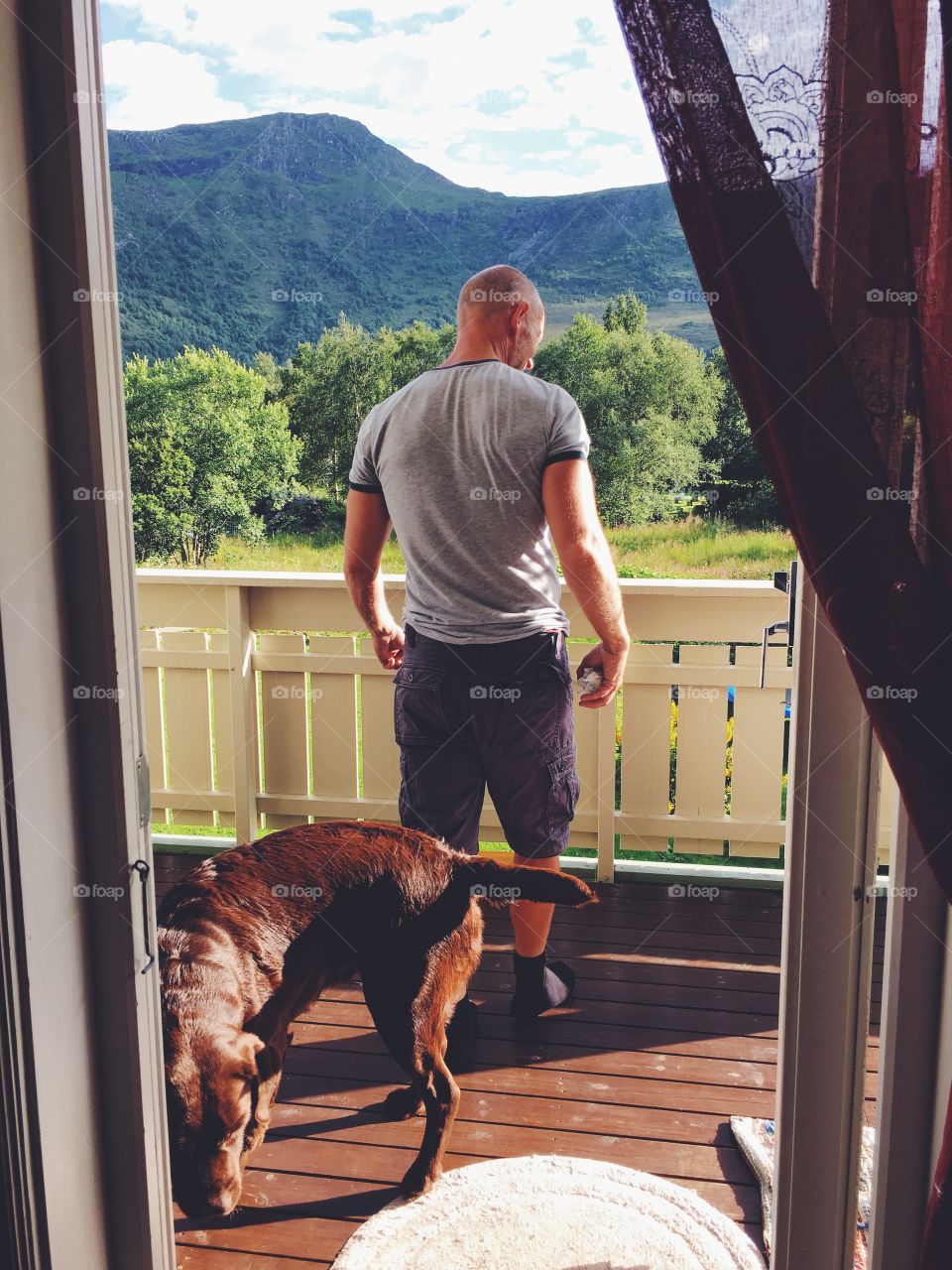 Labrador on a balcony 