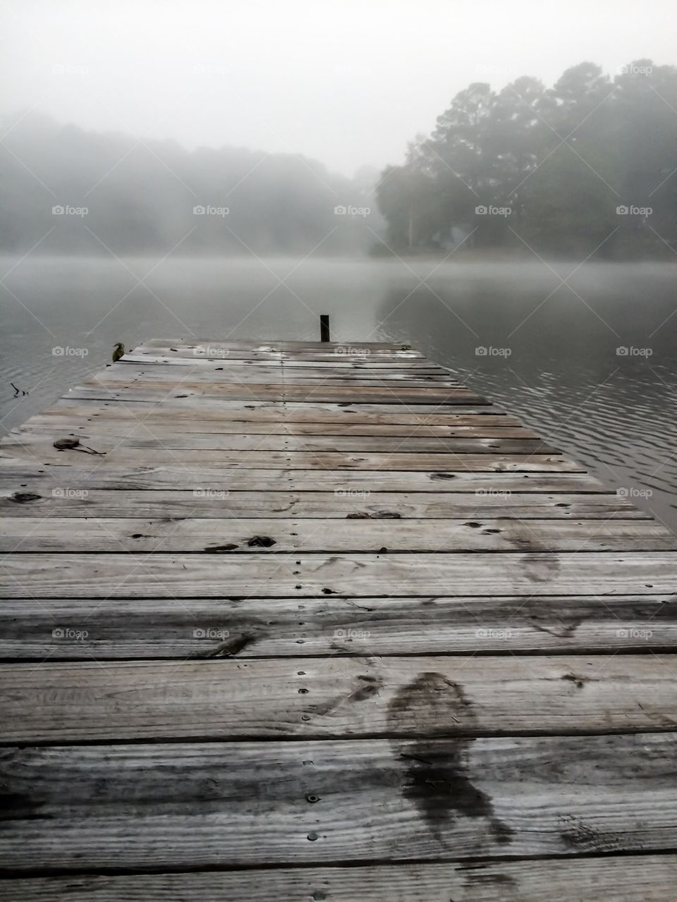 View of pier over lake during foggy morning