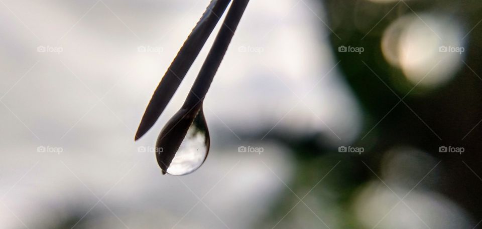water drop