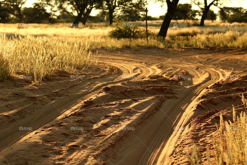 Sand Path