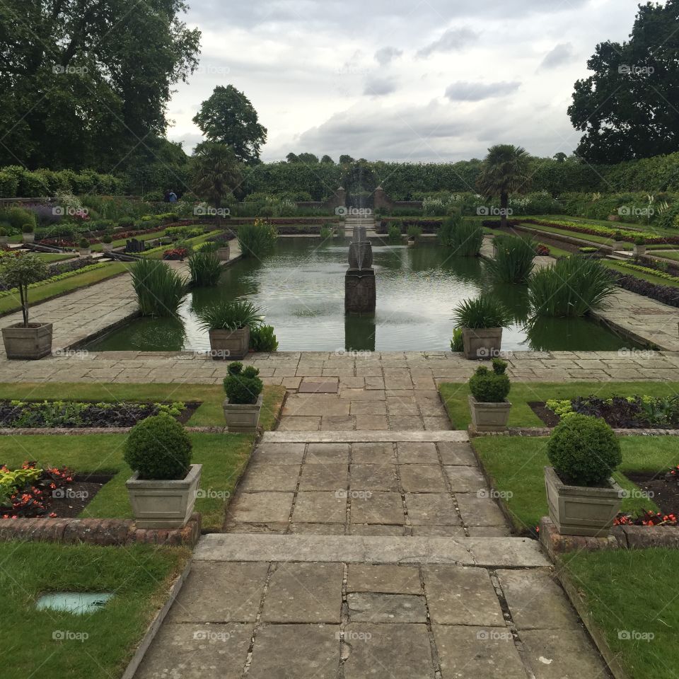 Kensington Garden 