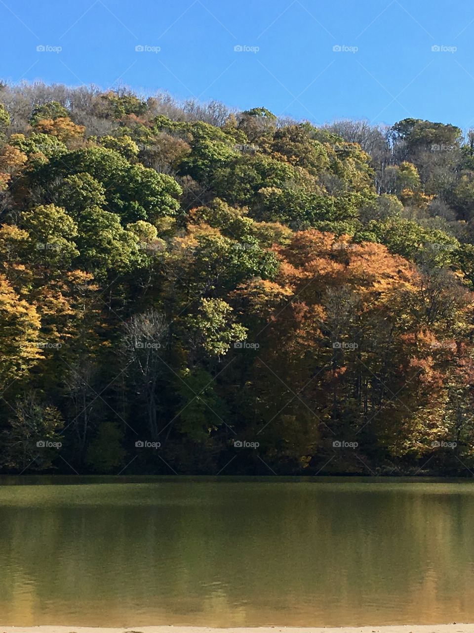 Fall in Pennsylvania 