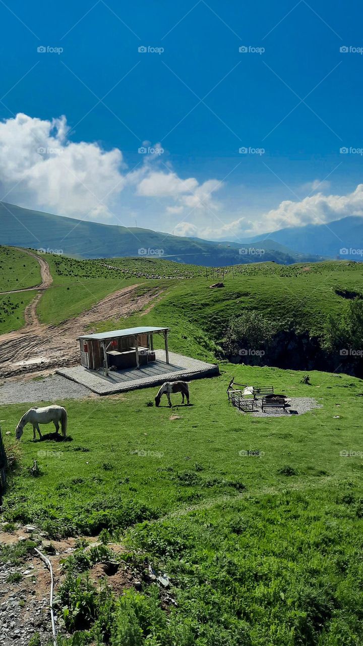 countryside ( Georgia kazbegi)