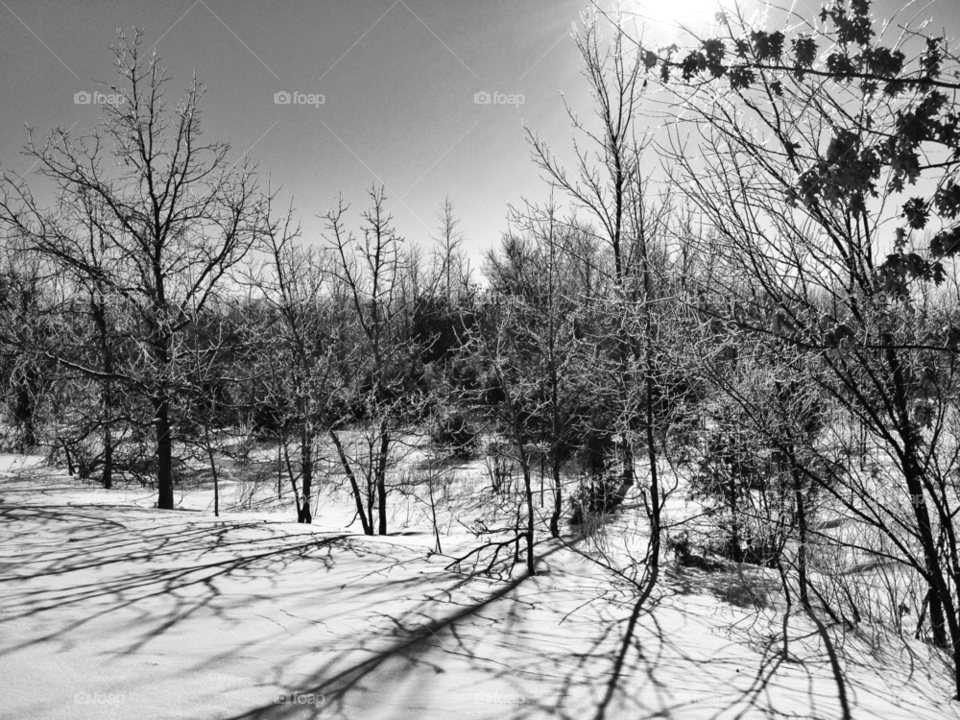 snow pretty bw winter by somebeach