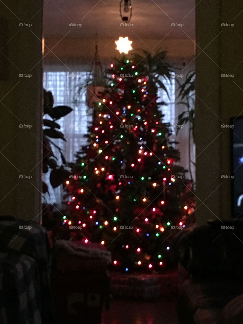 Blurry Christmas Tree lights
