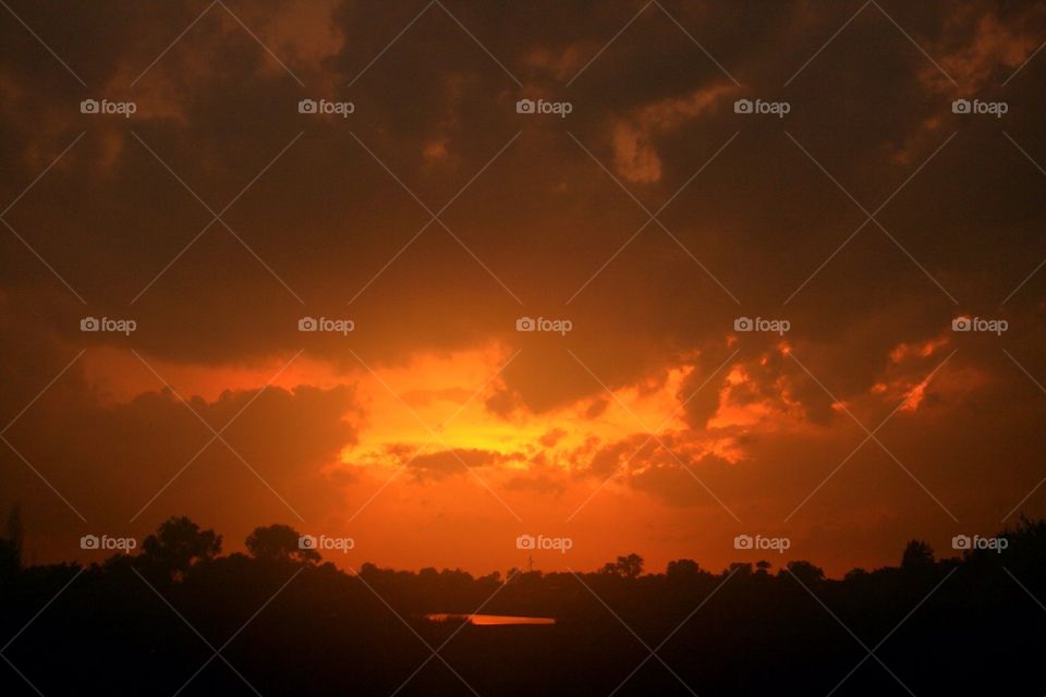 Orange Sunset