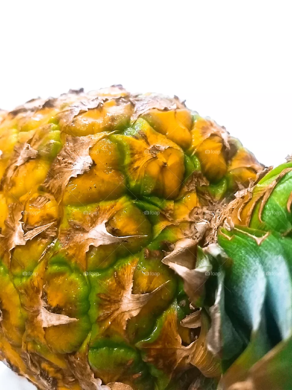 PINEAPPLE