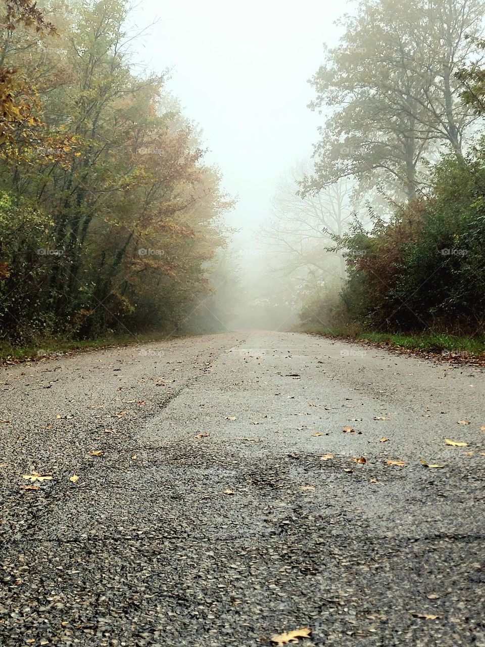 walking on a foggy day