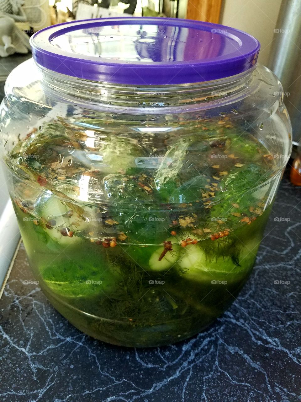 Homemade Dill Cucumbers in see through container.