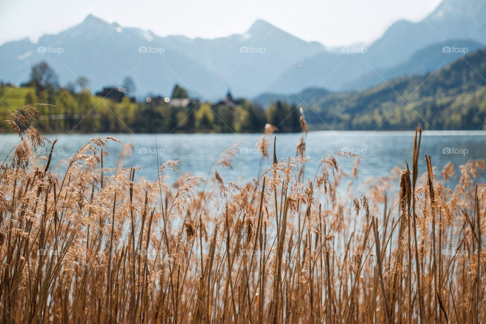 View of alpine lake