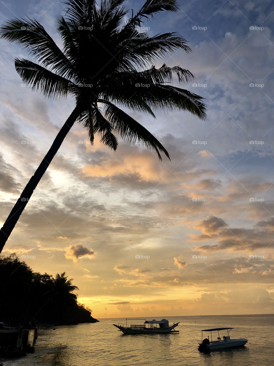 Sunset on the beach with palm tree