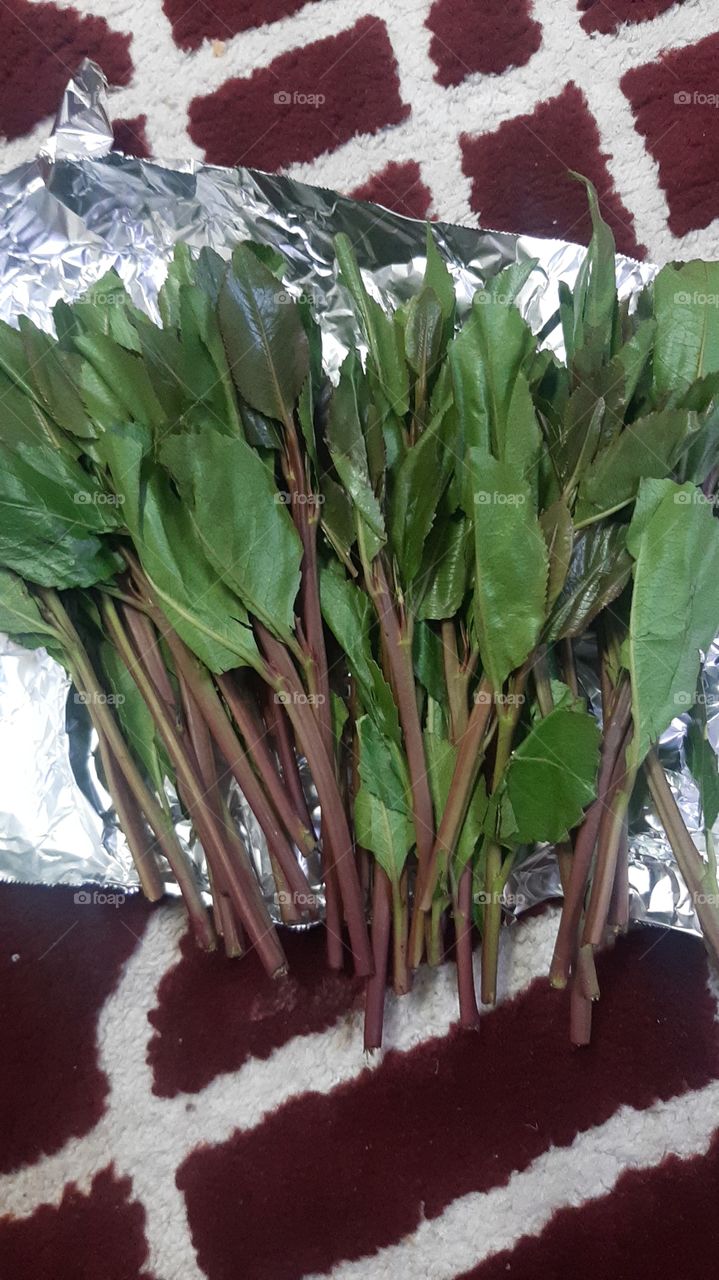 i am poor and need dollars, I have family conditions