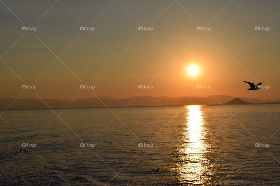 Ferry ride from Aegina island back to Athens Greece at sunset. 