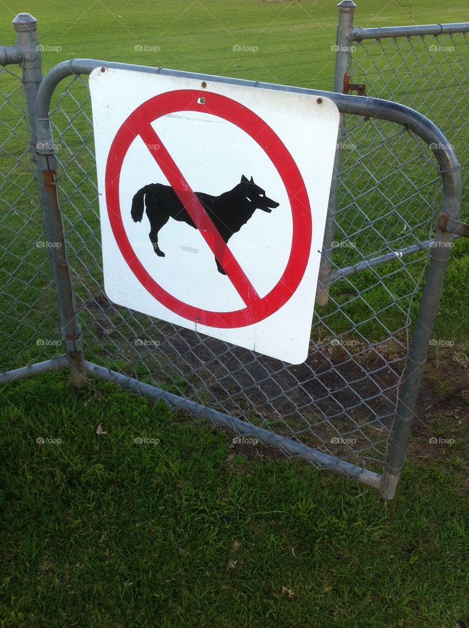 red white grass sign by king