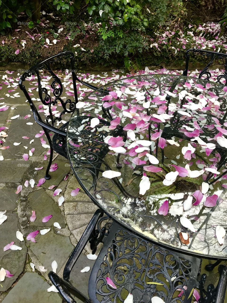Tulip tree leaves fallen on patio table and chairs 