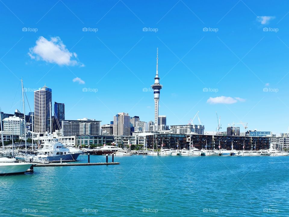 Auckland Cityscape