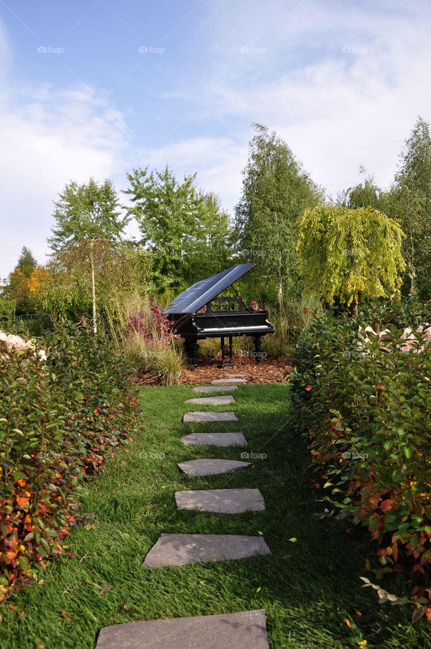 Piano in the bushes