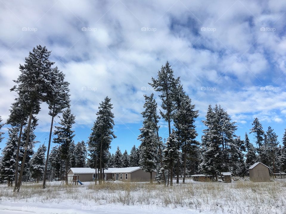 Snowy homestead 