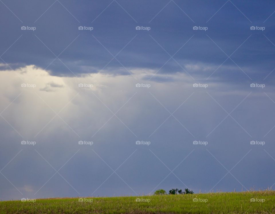 Rain on the Plains - rain clouds on the horizon in a rural area, small group of tree tops visible 
