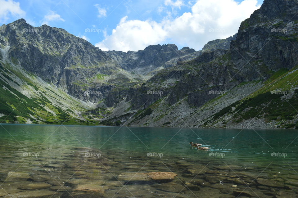 My best photo  of 2016 taken in Zakopane, Poland