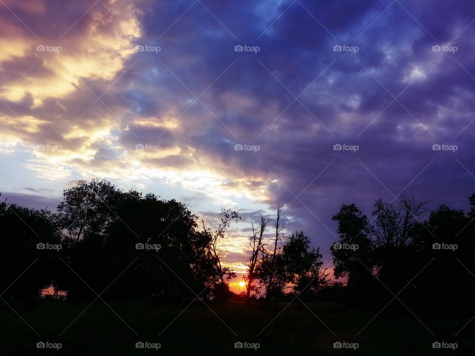 Trees silhouetted against a purple sky and orange sunset