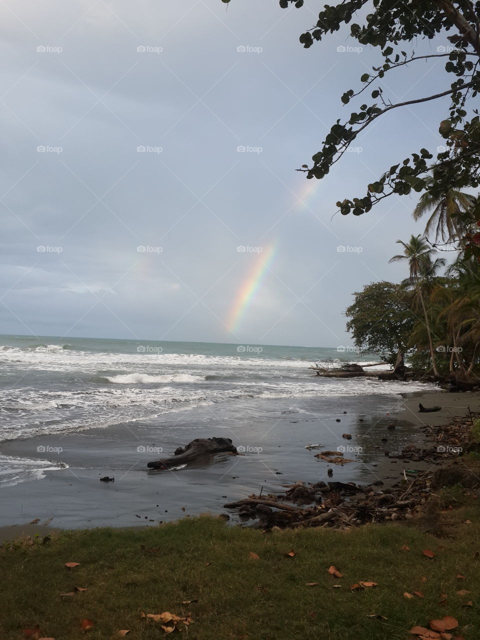 Rainbow at the beach. tropical rainbow