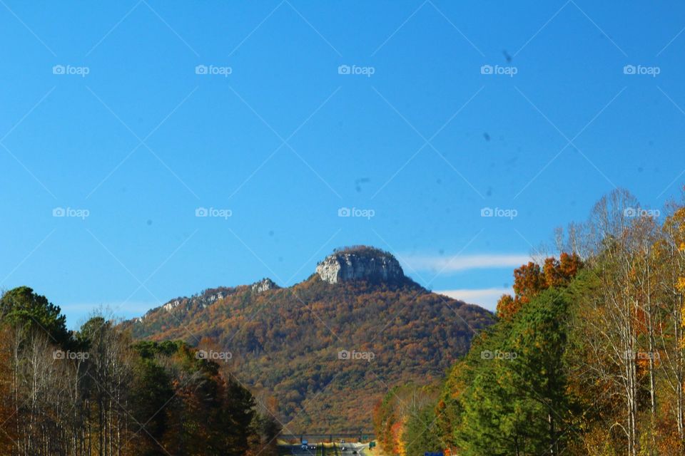 Pilot Mountain Landscape