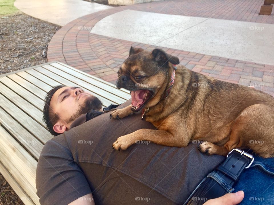 Portrait of man with dog