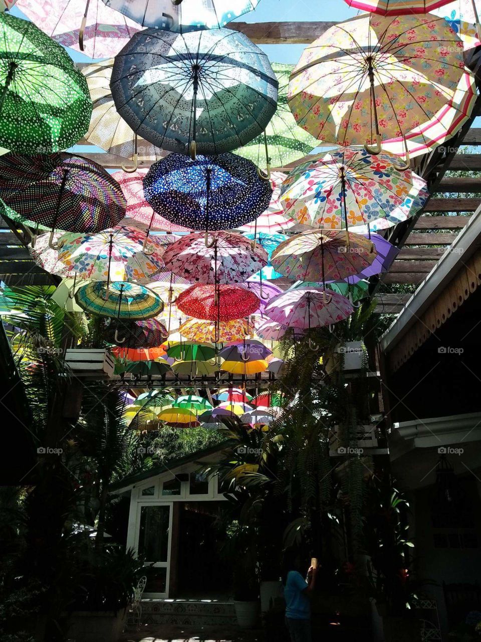 colorful umbrellas2