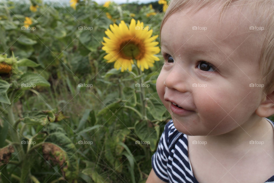 Baby and sunflower 